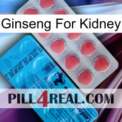 Ginseng For Kidney new14